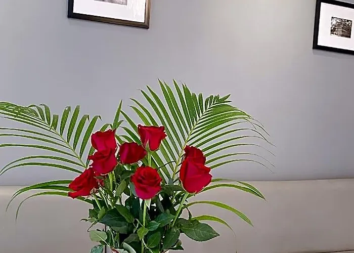 Angkor Sivutha 4* 暹粒